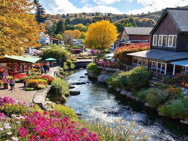 A picturesque scene of Kerikeri, New Zealand, showcasing its lush landscapes and historical charm. Capture the vibrant colors of summer with locals enjoying the Farmer’s Market, surrounded by blooming gardens and the iconic Stone Store glistening under the sun. Include rainbow-hued flowers and a serene river, while artists create amid the lively atmosphere. Alternatively, depict the tranquil beauty of autumn with golden leaves cascading along the Heritage Bypass Walkway, or a misty morning at Aroha Island, where birdwatchers quietly observe native birds. Illustrate the seasonal magic that draws travelers year-round.
