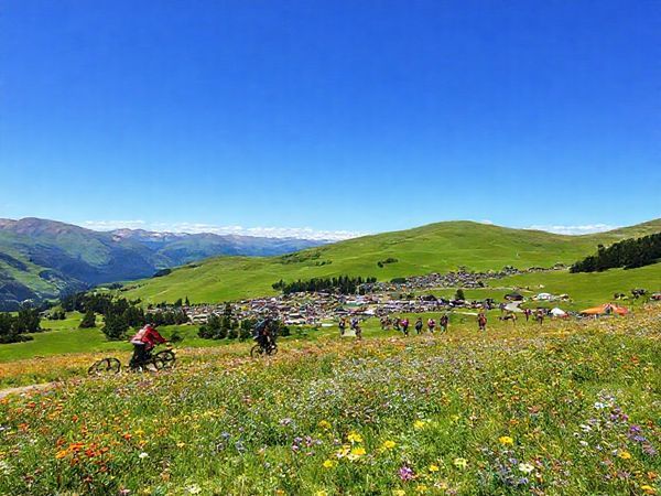 A breathtaking scene of Cardrona Alpine Resort in summer, showcasing vibrant green hills and cascading wildflowers under a clear blue sky. A diverse group of mountain bikers navigate thrilling trails, while hikers pause to soak in stunning panoramic views of the Southern Alps. Nearby, a lively festival unfolds, filled with colorful tents and joyful locals enjoying music and dance. A hint of autumn's reds and golds lingers in the distance, creating an enchanting backdrop for this lively outdoor paradise, where adventure and nature harmonize beautifully.