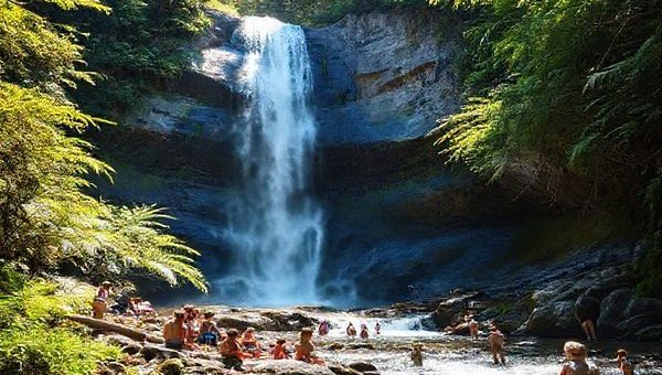 A serene scene of Fantail Falls, gracefully cascading down a steep, rocky cliff, surrounded by a lush tapestry of vibrant ferns and emerald foliage. Capture the essence of summer with warm sunlight filtering through the trees, inviting adventurers to explore its beauty. In the foreground, families enjoy a picnic beside the sparkling river, while others wade in the refreshing waters at the base of the falls. The air is alive with the sounds of nature, and the atmosphere radiates warmth and joy. A perfect blend of tranquility and lively exploration in New Zealand's enchanting wilderness.