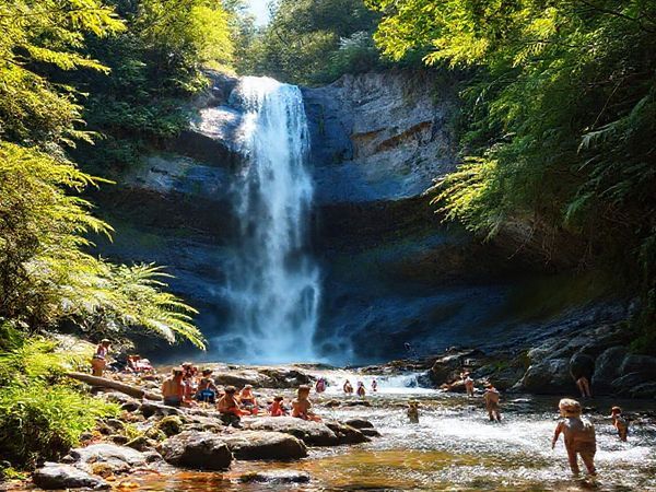A serene scene of Fantail Falls, gracefully cascading down a steep, rocky cliff, surrounded by a lush tapestry of vibrant ferns and emerald foliage. Capture the essence of summer with warm sunlight filtering through the trees, inviting adventurers to explore its beauty. In the foreground, families enjoy a picnic beside the sparkling river, while others wade in the refreshing waters at the base of the falls. The air is alive with the sounds of nature, and the atmosphere radiates warmth and joy. A perfect blend of tranquility and lively exploration in New Zealand's enchanting wilderness.
