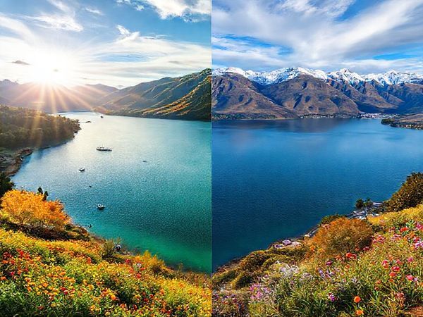 A breathtaking scene of Lake Wakatipu throughout the four seasons: in summer, a lush landscape with vibrant wildflowers and sunlit waters, people boating and enjoying outdoor markets; in autumn, golden leaves cascading against the deep blue lake, tranquil paths, and vineyard harvests; in winter, snow-covered mountains and ski enthusiasts gliding down slopes, festive lights adorning Queenstown; in spring, blooming wildflowers and fresh greenery, photographers capturing the rejuvenated landscape. The lake's Z-shaped silhouette reflects the changing colors of each season under a dynamic sky.