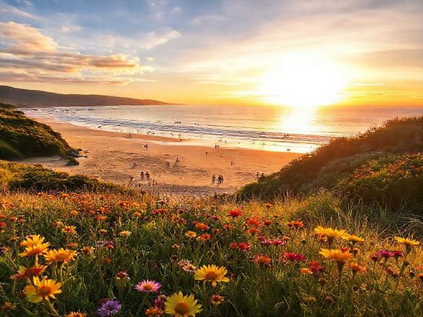 A breathtaking view of Waikanae, New Zealand, showcasing golden sandy beaches under a radiant summer sun, with families enjoying beach activities like swimming and paddleboarding. In the foreground, vibrant wildflowers bloom, while behind, lush native bush frames the scene. A majestic sunset paints the sky in hues of orange and pink, blending into the tranquil coastal ambiance, inviting travelers to relax and soak in the natural beauty.