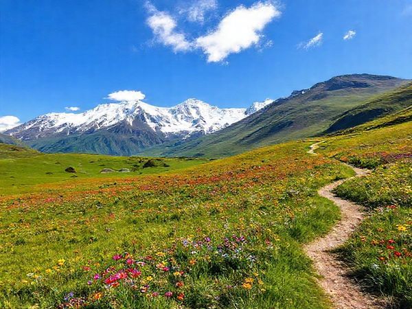 A breathtaking view of the Ben Ohau Range during spring, showcasing vibrant wildflowers blooming across lush green meadows beneath a clear blue sky. Snow-capped peaks rise majestically in the background, while a winding hiking trail invites adventurers to explore the rejuvenated landscape, with delicate clouds drifting lazily overhead.