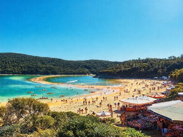 A vibrant summer scene in the Tasman Region, showcasing golden beaches under a brilliant blue sky, people kayaking in sparkling turquoise waters, lush green forests surrounding the coastline, and lively local markets filled with colorful produce and artisan crafts, all encapsulated in a cheerful, sunlit atmosphere.