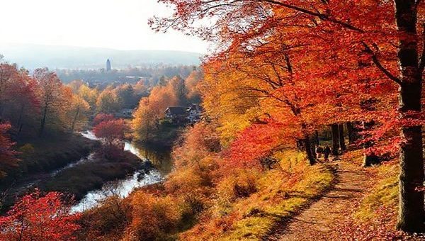 A breathtaking autumn landscape in Landkreis Dahme-Spreewald, Germany, showcasing vibrant crimson and gold leaves, serene waterways reflecting the colorful foliage, and a charming traditional village in the background. The scene features a winding hiking trail bordered by trees, with a few hikers enjoying the crisp air, and soft sunlight filtering through the foliage.