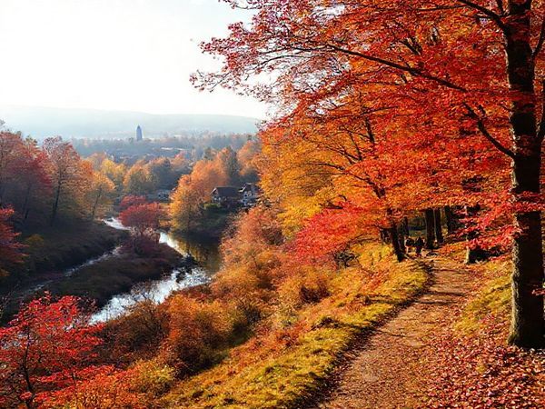 A breathtaking autumn landscape in Landkreis Dahme-Spreewald, Germany, showcasing vibrant crimson and gold leaves, serene waterways reflecting the colorful foliage, and a charming traditional village in the background. The scene features a winding hiking trail bordered by trees, with a few hikers enjoying the crisp air, and soft sunlight filtering through the foliage.