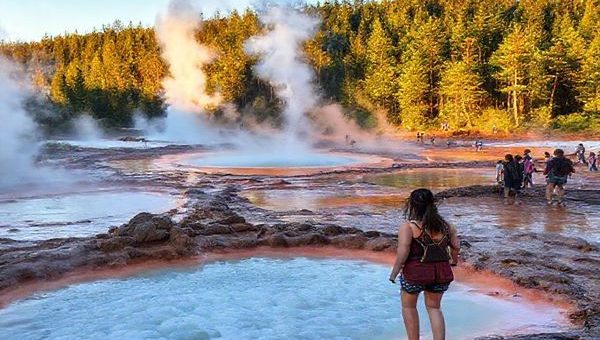 "An enchanting scene in Rotorua: vibrant summer hues surround bubbling mud pools and steamy geysers, framed by lush green forests and golden sunshine. Capture the allure of active tourists hiking the trails of Whakarewarewa Redwood Forest, with glimpses of Maori cultural performances in the background, embodying the perfect blend of adventure and tradition."