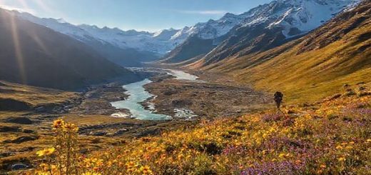 A breathtaking view of the Routeburn Track in summer, showcasing vibrant wildflowers in shades of yellow and purple against a backdrop of snow-capped peaks and crystal-clear rivers, all illuminated by the warm glow of a sunlit sky. Hikers traverse the trail, joyful and adventurous, as they absorb the stunning alpine vistas that define New Zealand's Southern Alps.