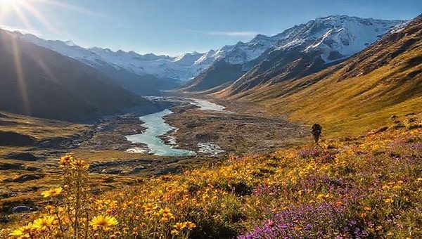 A breathtaking view of the Routeburn Track in summer, showcasing vibrant wildflowers in shades of yellow and purple against a backdrop of snow-capped peaks and crystal-clear rivers, all illuminated by the warm glow of a sunlit sky. Hikers traverse the trail, joyful and adventurous, as they absorb the stunning alpine vistas that define New Zealand's Southern Alps.