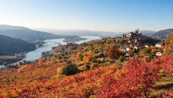 A breathtaking panorama of the Mosel Valley in autumn, featuring terraced vineyards adorned with vibrant reds and golds, the sinuous Mosel River glimmering under a clear blue sky, and a charming village with a medieval castle in the background. Enjoying the grape harvest, locals celebrate with festive decorations while the gentle breeze rustles the colorful leaves. A perfect moment capturing the essence of this enchanting region in fall.