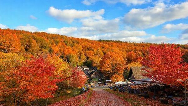 A picturesque landscape of Landkreis Kassel in autumn, showcasing vibrant trees in hues of red, orange, and gold, with a quaint village nestled amidst the forests. A scenic pathway lined with fallen leaves leads to a charming market filled with artisanal crafts and fresh produce, under a crisp blue sky dotted with fluffy white clouds.