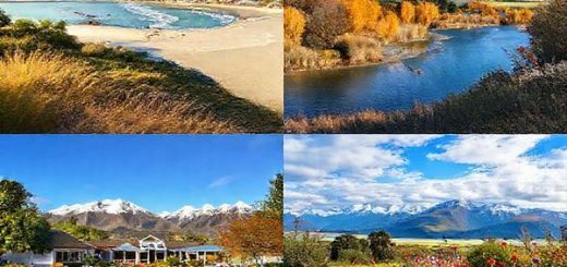 A serene landscape capturing the essence of Invercargill District in all four seasons: vibrant summer beaches with sunlit skies, golden autumn leaves in botanical gardens, a cozy winter scene with snow-capped mountains and warm cafes, and a lively spring garden bursting with colorful flowers. Include elements like friendly locals enjoying outdoor festivals, wildlife, and scenic views that reflect the rich tapestry of nature and culture in this charming New Zealand locale.