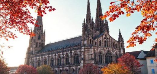 A breathtaking view of Speyer Cathedral during autumn, set against a backdrop of vibrant red, orange, and gold leaves. The cathedral's Romanesque architecture is illuminated by soft sunlight, creating a warm and inviting scene. Include hints of festival activity in the surroundings, with lively market stalls and people enjoying the mild weather. Capture this picturesque moment in high definition.