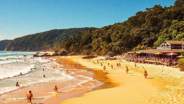 A high definition image of Whangamatā, New Zealand, showcasing its stunning golden beaches bathed in warm summer sunlight, with vibrant beachgoers enjoying surfing and sunbathing. Lush native forests frame the background, while a colorful beachside cafe bustles with happy tourists. The scene captures the essence of a lively holiday atmosphere, infused with a sense of adventure and relaxation, under a clear blue sky.