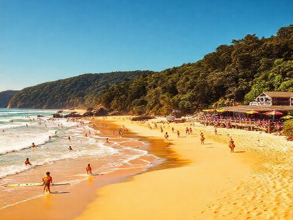 A high definition image of Whangamatā, New Zealand, showcasing its stunning golden beaches bathed in warm summer sunlight, with vibrant beachgoers enjoying surfing and sunbathing. Lush native forests frame the background, while a colorful beachside cafe bustles with happy tourists. The scene captures the essence of a lively holiday atmosphere, infused with a sense of adventure and relaxation, under a clear blue sky.