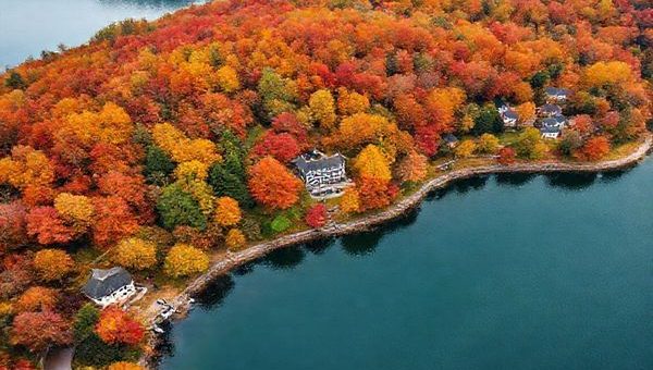 A breathtaking aerial view of Wannsee during autumn, showcasing the vibrant palette of reds, oranges, and yellows in the trees surrounding the tranquil lake. Include picturesque hiking trails winding through the colorful foliage and a few cozy cafés nestled against the backdrop of historical architecture. The scene should evoke a sense of peace and exploration, capturing the spirit of fall in high definition.