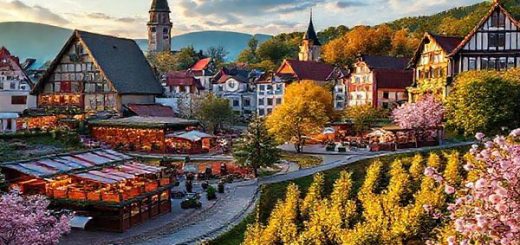 A breathtaking high definition landscape of Germany in all four seasons: vibrant summer festivals with sunlit beer gardens, cozy winter Christmas markets adorned with twinkling lights, colorful autumn vineyards during the grape harvest, and serene spring cherry blossoms in bloom. Each section of the image should blend seamlessly, showcasing Germany’s enchanting charm and diverse seasonal beauty.