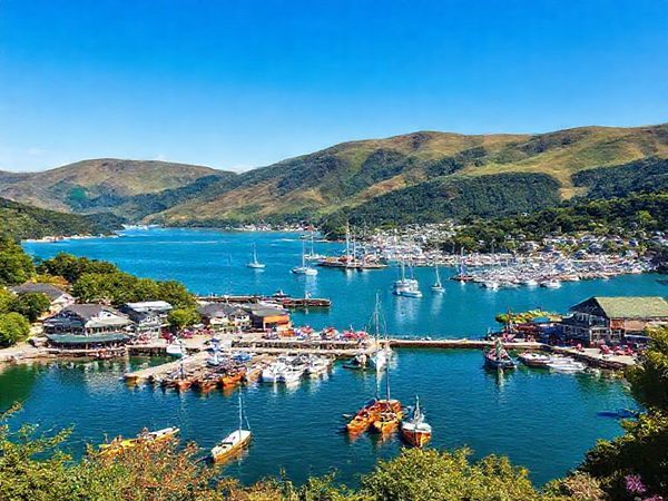 A stunning high-definition depiction of Picton, New Zealand, showcasing its scenic harbor surrounded by lush hills. Capture the vitality of summer with clear blue skies, vibrant outdoor activities like kayaking and sailing, and bustling waterfront cafes. Include glimpses of the Queen Charlotte Track, framed by rolling landscapes adorned with vibrant greenery. The image should convey a lively, sunny day filled with adventurers and the picturesque charm that defines this coastal town.