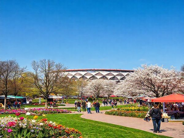 A picturesque scene of Gelsenkirchen in spring, showcasing vibrant flowers blooming in parks, bustling outdoor markets, and people enjoying leisurely strolls under clear blue skies. In the background, the iconic FC Schalke 04 stadium stands proudly, surrounded by blossoming trees. High definition.