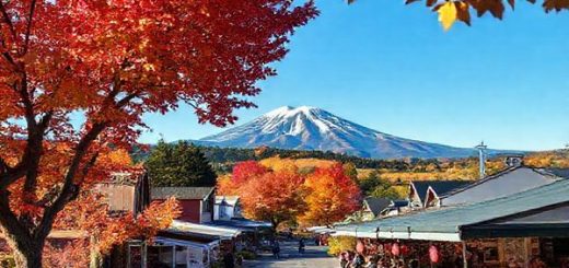 **A breathtaking high-definition image of Havelock North in autumn, showcasing vibrant landscapes filled with rich hues of gold and crimson, vineyards ready for harvest, and a calm farmer's market bustling with fresh produce and local delicacies under a clear blue sky. The picturesque Te Mata Peak rises in the background, creating a perfect balance between the serenity of nature and the lively charm of the village.**