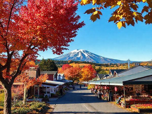**A breathtaking high-definition image of Havelock North in autumn, showcasing vibrant landscapes filled with rich hues of gold and crimson, vineyards ready for harvest, and a calm farmer's market bustling with fresh produce and local delicacies under a clear blue sky. The picturesque Te Mata Peak rises in the background, creating a perfect balance between the serenity of nature and the lively charm of the village.**