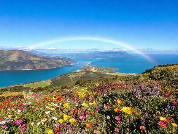 Create a high-definition image of the Grey District in New Zealand, showcasing its stunning landscapes during spring. Include vibrant blooming flowers, lush greenery, and a serene coastline under a clear blue sky. Capture the essence of nature awakening with active wildlife and birds, and depict a vibrant rainbow stretching across the horizon, reflecting the region's charm and beauty.