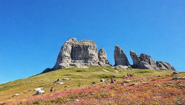 **A breathtaking view of Castle Hill in New Zealand during summer, showcasing its iconic limestone boulders rising majestically from vibrant wildflower fields under a bright blue sky. Capture a lively atmosphere with outdoor enthusiasts climbing and exploring, all presented in high definition.**