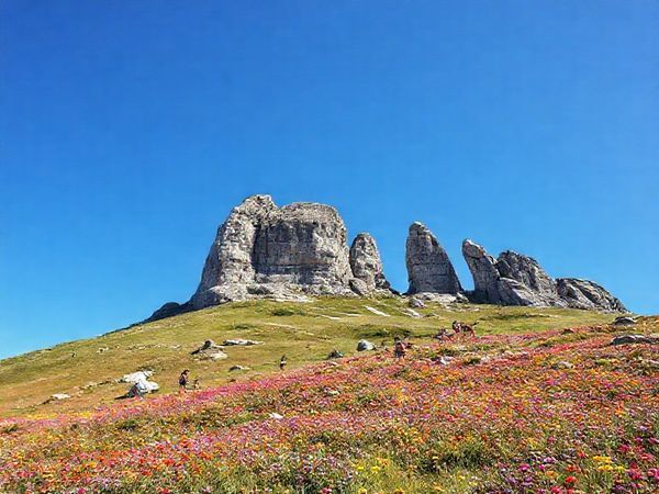 **A breathtaking view of Castle Hill in New Zealand during summer, showcasing its iconic limestone boulders rising majestically from vibrant wildflower fields under a bright blue sky. Capture a lively atmosphere with outdoor enthusiasts climbing and exploring, all presented in high definition.**