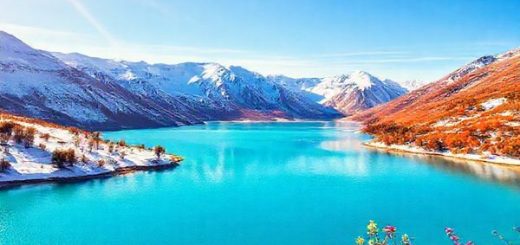 Captivating Lake Pukaki during the four seasons: summer's vibrant turquoise waters under golden sunlight, winter's serene snow-covered landscape reflecting the deep blue lake, autumn's fiery amber foliage contrasting with the lake's color, and spring's blooming flowers by the crystal-clear shores. High definition, ultra-realistic imagery capturing the breathtaking natural beauty and seasonal changes in New Zealand's South Island.