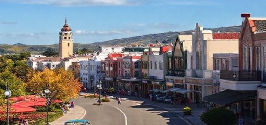 A breathtaking high-definition scene of Napier, New Zealand, showcasing its iconic Art Deco architecture surrounded by vibrant vineyards and lush landscapes. Capture the essence of each season: warm summer sunshine with bustling beachgoers, colorful autumn leaves along picturesque cycling trails, blooming spring gardens, and a serene winter backdrop with cozy cafes and quiet walks. Include elements like vintage cars during a festival, locals enjoying wine tastings, and panoramic views of Hawke's Bay to embody the rich cultural tapestry of this coastal city.