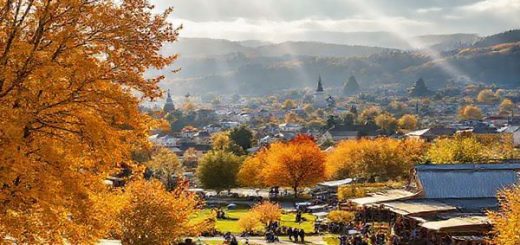 A picturesque rural landscape of Marton, New Zealand, showcasing the vibrant autumn colors of amber and gold. In the foreground, local farmers' markets bustle with activity, and families enjoy picnics under towering trees in a scenic park. In the background, the charming historical architecture of the town contrasts beautifully with the warm hues of fall foliage. Include hints of local festivities, like art and craft stalls, and a few light rain showers creating radiant rainbows in the sky. Render this image in high definition.