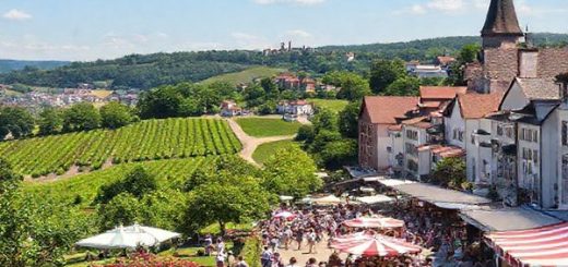 A picturesque view of Stuttgart in summer, showcasing vibrant vineyards, lush hills, and lively outdoor festivals. Include people enjoying a sunny day in Rosenstein Park, surrounded by blooming flowers and traditional German architecture. Capture the atmosphere of the Stuttgart Summer Festival with music, food stalls, and joyful visitors. Create this scene in high definition.