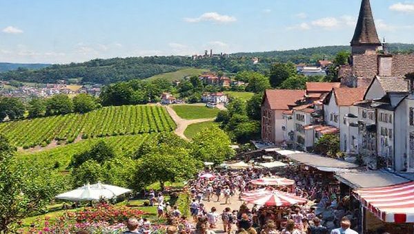 A picturesque view of Stuttgart in summer, showcasing vibrant vineyards, lush hills, and lively outdoor festivals. Include people enjoying a sunny day in Rosenstein Park, surrounded by blooming flowers and traditional German architecture. Capture the atmosphere of the Stuttgart Summer Festival with music, food stalls, and joyful visitors. Create this scene in high definition.
