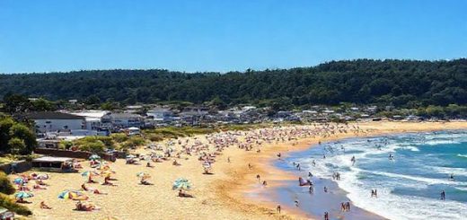 A picturesque view of Dargaville, New Zealand, showcasing the vibrant summer scene: sunbathers on Ripiro Beach with golden sands, colorful beach umbrellas dotting the shoreline, surfers riding rolling waves, and locals enjoying a bustling market with fresh kumara. In the background, lush kauri forests under a bright blue sky complete the scene. Make the image in high definition.