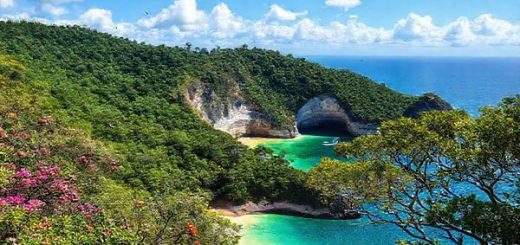 A breathtaking high-definition view of the Coromandel Peninsula, showcasing its stunning beaches and lush rainforests in vibrant colors of spring. Include blooming flowers, verdant landscapes, and a serene coastline with crystal-clear waters. Capture the playful movement of native birds flitting through the trees, with the iconic limestone formations of Cathedral Cove in the background, all under a bright blue sky with fluffy white clouds.