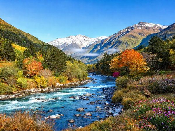 Create a high definition image of the breathtaking landscapes of Haast, New Zealand throughout the four seasons: a vibrant summer scene with lush greenery and clear blue skies, a serene winter setting cloaked in mist, an autumnal wonderland with trees ablaze in reds and golds, and a lively spring landscape bursting with blooming wildflowers. Showcase the harmony of nature, incorporating elements like the Haast River, hiking trails, and cozy accommodations, reflecting the tranquility and wild beauty of this hidden gem.