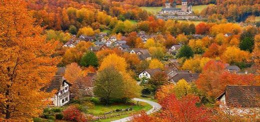 **A serene landscape of Landkreis Börde, Germany, showcasing the vibrant autumn foliage in hues of orange, red, and yellow. Quaint villages nestled among rolling hills, with a gently winding path leading through a colorful forest. In the background, an ancient cathedral peeks through the trees, while locals enjoy a harvest festival with stalls offering traditional crafts and culinary delights. Capture the charm of this peaceful countryside scene in high definition.**