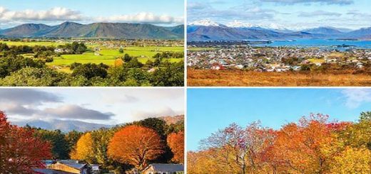 A breathtaking high-definition image of Murupara, New Zealand, during each of the four seasons: summer's lush greenery and vibrant festivals, winter's serene landscapes and cultural richness, autumn's warm hues with golden leaves, and spring's blooming flowers and clear skies. Capture the rustic charm of the town, the majestic Whirinaki Forest, and the vibrant community spirit in vivid detail, showcasing the unique essence of this hidden gem across all seasons.