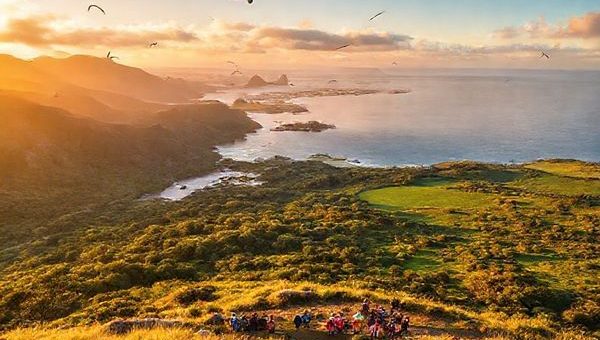 "A stunning view of the Chatham Islands, showcasing rugged coastlines and expansive grasslands, captured in vibrant colors during summer. Include warm sunlight illuminating lush forests and lively beaches, with diverse birdlife soaring above. Also, hint at a small gathering of travelers enjoying the local culture during the Chatham Island Festival. Make this image in high definition."