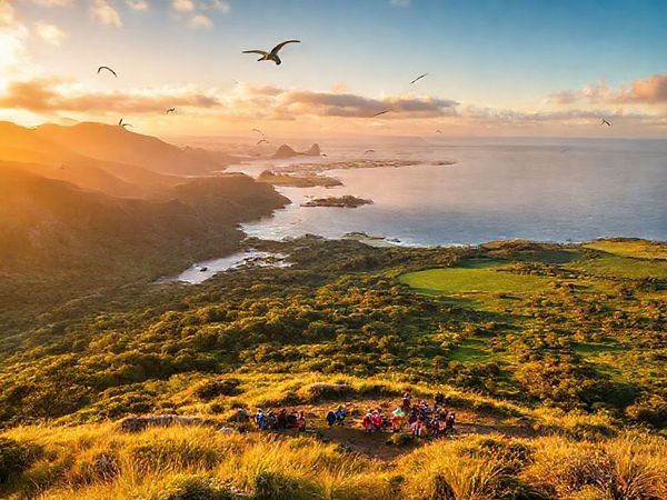 "A stunning view of the Chatham Islands, showcasing rugged coastlines and expansive grasslands, captured in vibrant colors during summer. Include warm sunlight illuminating lush forests and lively beaches, with diverse birdlife soaring above. Also, hint at a small gathering of travelers enjoying the local culture during the Chatham Island Festival. Make this image in high definition."
