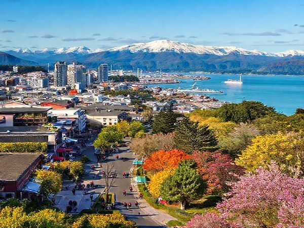 A breathtaking high-definition image of Wellington Region, New Zealand, capturing the vibrant cultural scene and natural beauty across the four seasons: summer with bustling waterfront festivals; winter with cozy indoor attractions and snow-dusted peaks; autumn's golden landscapes in the Botanic Garden; and spring's colorful blossoms. Incorporate lively street scenes, lush forests, and the rugged coastline to showcase the diverse allure of this enchanting region.