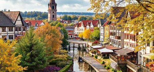 "Create a high definition image of Landkreis Zwickau, capturing its enchanting seasonal beauty: a summer scene with vibrant festivals, lush greenery, and bustling market towns; a winter wonderland with Christmas markets and snow-covered landscapes; a serene autumn tapestry of golden and crimson leaves; and a vibrant spring with blooming flowers and historical architecture. Showcase the rich cultural heritage and natural charm of this Saxon region in one cohesive image."