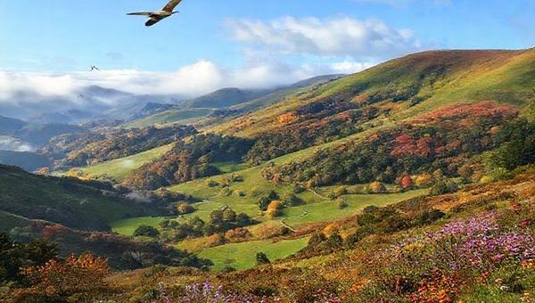 A serene landscape of Wainuiomata, New Zealand, showcasing the tranquil beauty of each season: vibrant summer foliage, cozy winter mists, colorful autumn leaves, and blooming spring flowers. Capture the lush green hills, crisp air, and winding trails, while incorporating native birds like the tui and New Zealand pigeon in flight. The scene should evoke a sense of peaceful exploration, inviting viewers to immerse themselves in nature's beauty. Create this in high definition.