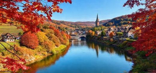 "Create a high definition image of the Moselle River in autumn, showcasing the vibrant tapestry of red, orange, and gold leaves. Include rolling vineyards in the background, quaint medieval towns like Cochem with their stone buildings, and lively vineyards bustling with grape harvesters. Capture the essence of fall festivities with decorations and hints of wine tasting, set against a clear blue sky."