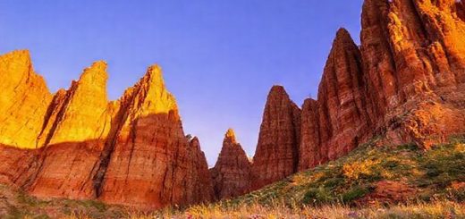 Create a high-definition image of the majestic Clay Cliffs of Ōmarama in New Zealand, showcasing the stunning natural formations during dusk in summer. Highlight the towering pinnacles bathed in warm, golden sunlight, casting long shadows on the vibrant ochre and terracotta clay. Include a backdrop of clear blue skies transitioning to soft purples as the sun sets, with wildflowers blooming at the base of the cliffs. Capture the serene atmosphere that invites exploration and reflection, perfect for nature lovers and photographers.