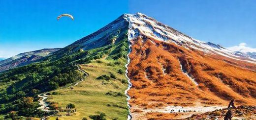 Create a high-definition image of Mount Hutt showcasing the dramatic transformation of the four seasons. On one side, depict vibrant summer greenery with hikers on sun-drenched trails, paragliders soaring above, and idyllic blue skies. Transitioning to autumn, illustrate warm hues of orange and gold with tranquil hiking paths surrounded by colorful foliage. For winter, capture pristine snow-covered landscapes bustling with skiers and snowboarders under bright blue skies. Finally, in spring, show blooming wildflowers and melting snow, with adventure seekers enjoying rock climbing and mountain biking amidst a backdrop of reawakened nature. Merge these seasonal elements seamlessly into one breathtaking landscape.