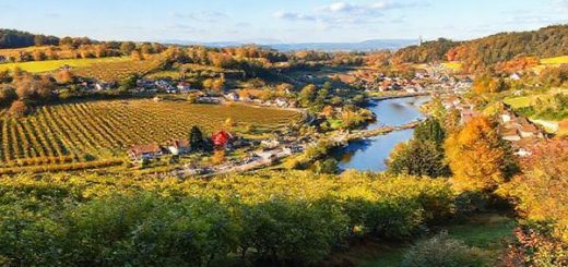 A picturesque landscape of the Rhein-Neckar-Kreis region in southwestern Germany, showcasing sprawling vineyards under warm summer sunshine, quaint villages with vibrant festivals, and serene hiking trails surrounded by colorful autumn foliage. Incorporate elements like the Neckar River for picnicking and traditional architectural marvels to reflect historical charm. Create this image in high definition, capturing the essence of each season's beauty.