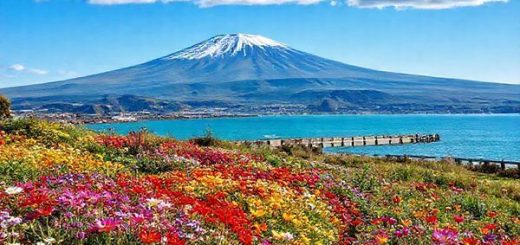 Create a high-definition image of New Plymouth District in New Zealand, capturing the stunning beauty of the region in spring. Showcase vibrant blooming gardens filled with colorful flowers, the majestic Mount Taranaki in the background, and a scenic coastal walkway. Include a clear blue sky with a few fluffy clouds, hinting at a mix of sun and occasional rain showers, emphasizing the seasonal renewal and tranquility of this picturesque destination.