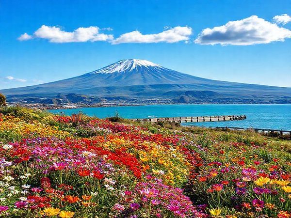 Create a high-definition image of New Plymouth District in New Zealand, capturing the stunning beauty of the region in spring. Showcase vibrant blooming gardens filled with colorful flowers, the majestic Mount Taranaki in the background, and a scenic coastal walkway. Include a clear blue sky with a few fluffy clouds, hinting at a mix of sun and occasional rain showers, emphasizing the seasonal renewal and tranquility of this picturesque destination.