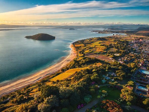 A breathtaking aerial view of New Zealand's North Island showcasing the diverse landscapes: sunlit beaches of the Bay of Islands, vibrant vineyards in Hawke’s Bay during fall, geothermal wonders in Rotorua, and colorful blooming gardens in Hamilton. Include hints of local Maori culture with traditional carvings and a fireworks display symbolizing summer festivals, all captured in high definition.
